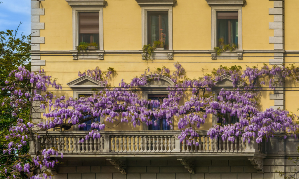 Why Premium Window Coverings Are Worth Every Penny (And What Makes Them Different)